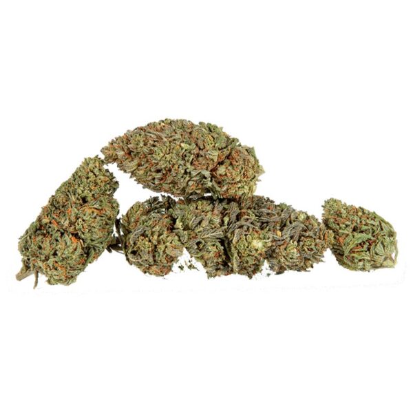 flores cbd northern ligths