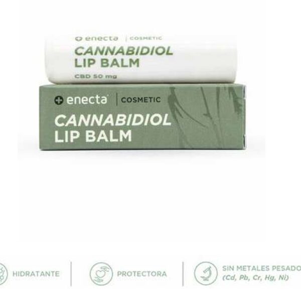 Lip Balm Enecta CBD