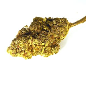 Flores CBD Moby Dick | CBD Indoor