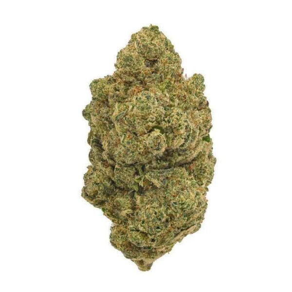 flor cbd moby dick indoor premium