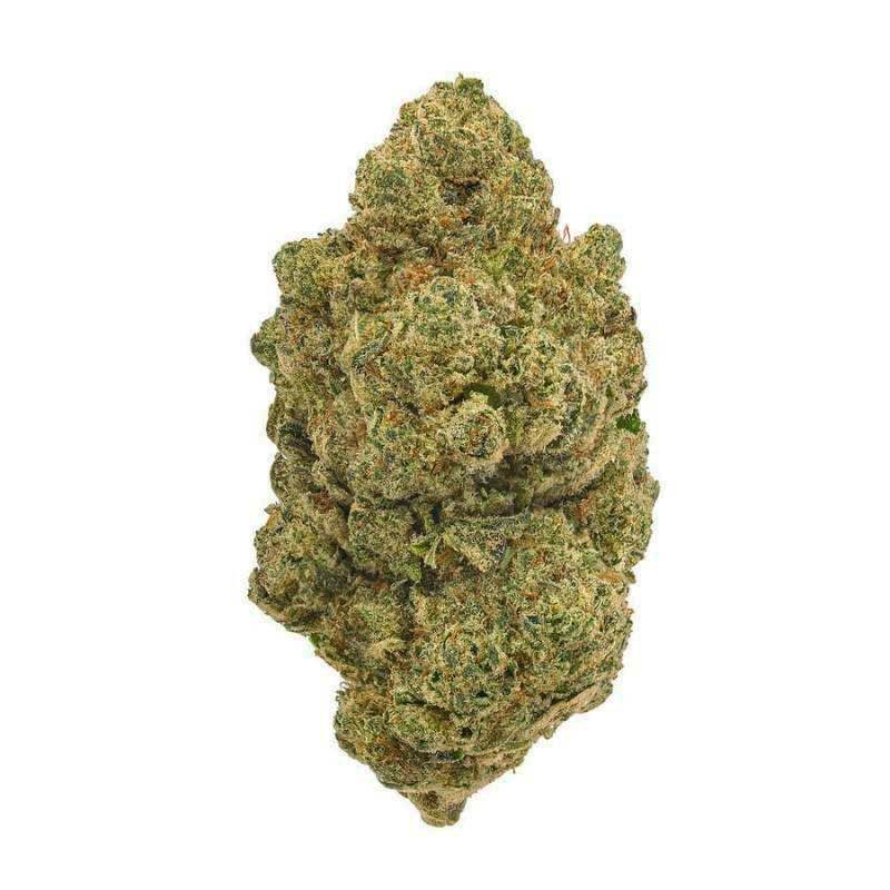 flor cbd moby dick indoor premium