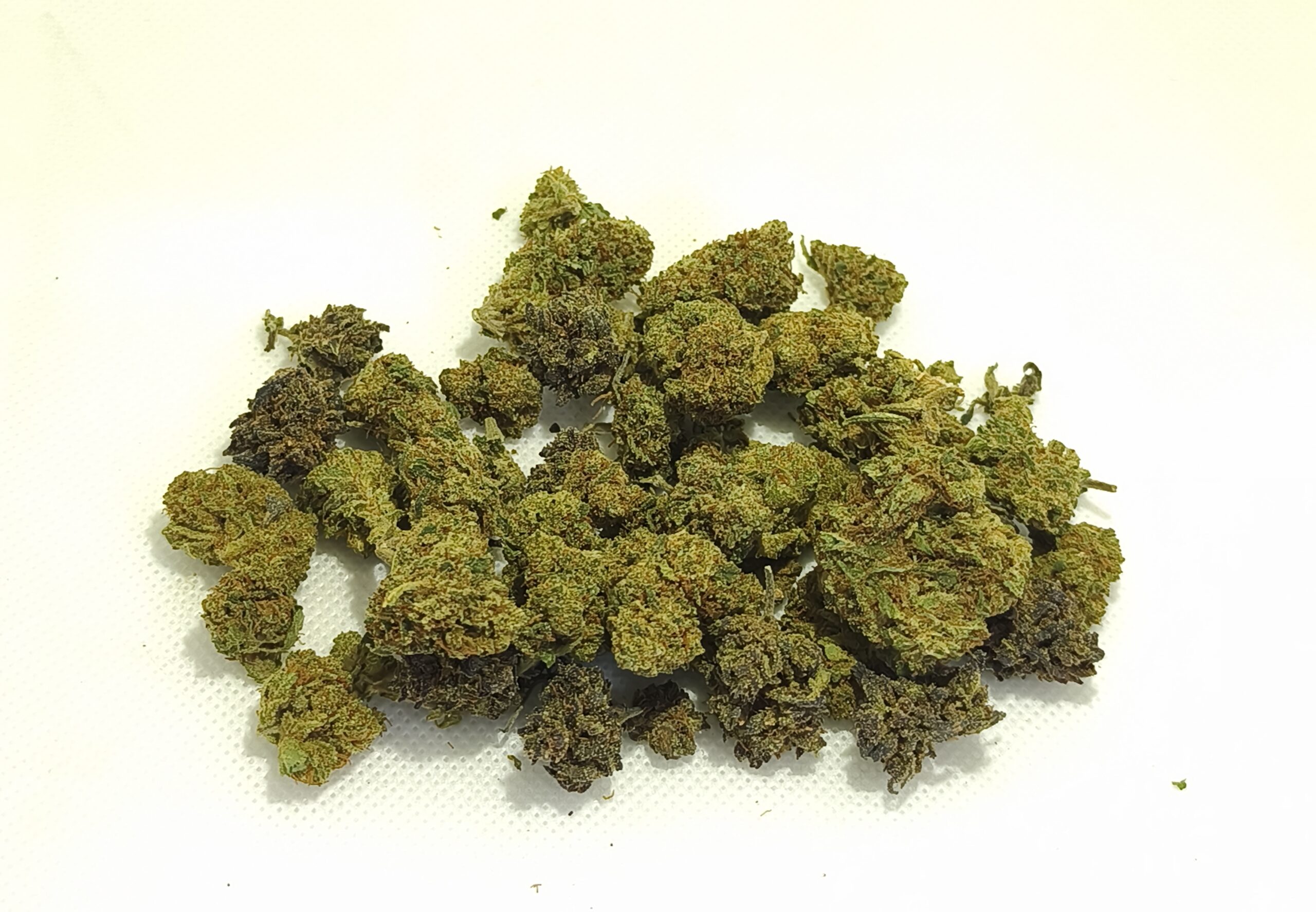 flores de cbd small buds sobre fondo blanco