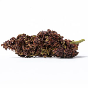 Flores CBD Purple Haze XL | CBD Glasshouse