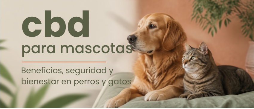 Texto alternativo sugerido: Banner sobre CBD para mascotas, con un perro y un gato en calma, en una composición editorial cálida y natural, con tonos verdes suaves y crema.