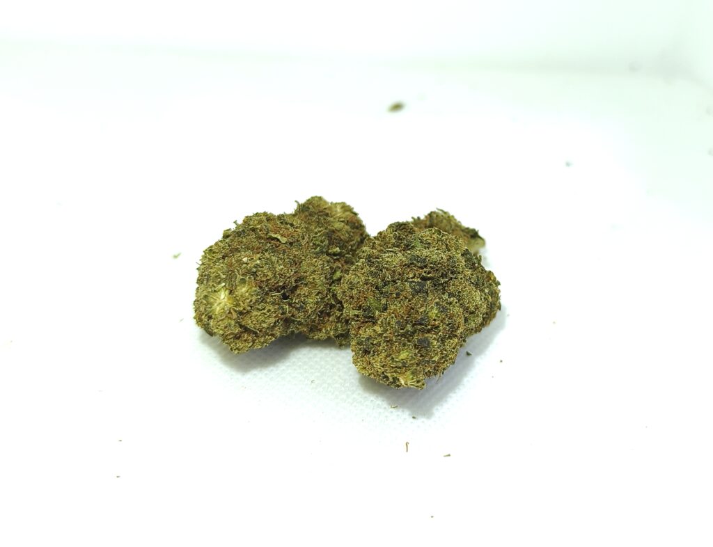 Flores de cáñamo Cheese CBD Premium sobre fondo blanco, cogollos compactos y resinosos con tonos verdes y marrones.