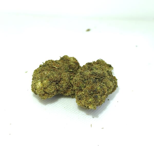 Flores de cáñamo Cheese CBD Premium sobre fondo blanco, cogollos compactos y resinosos con tonos verdes y marrones.