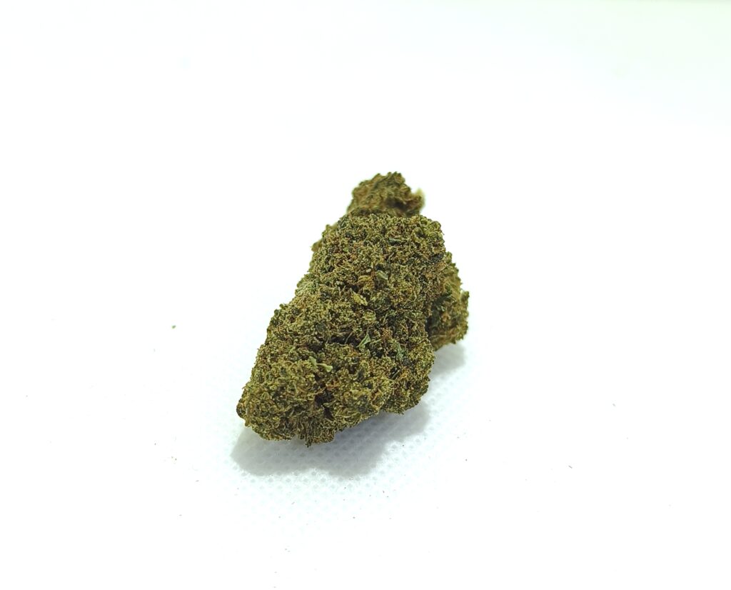 Flores de cáñamo Critical CBD Premium sobre fondo blanco, cogollos compactos y resinosos con tonos verdes y marrones.