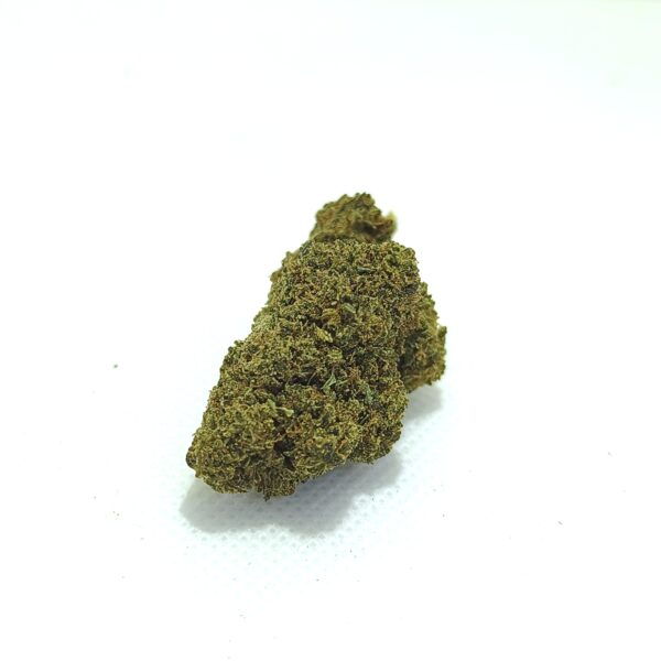 Flores de cáñamo Critical CBD Premium sobre fondo blanco, cogollos compactos y resinosos con tonos verdes y marrones.